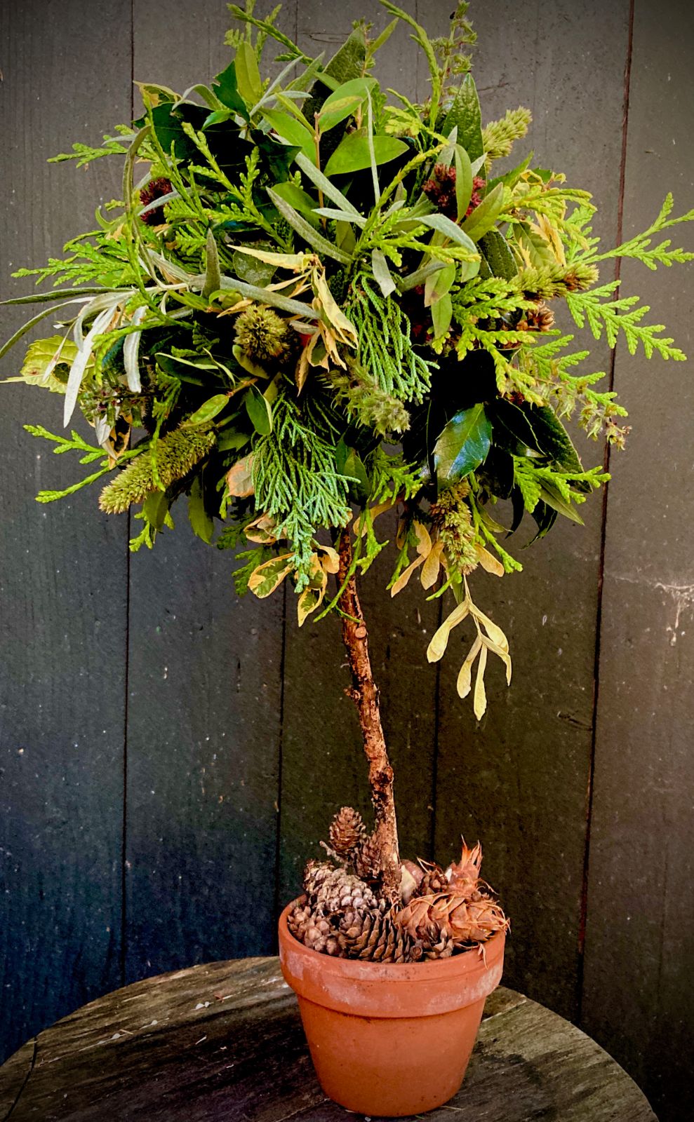 Table Top Topiaries with Jessica Williams - Nov 15 - 10:30 AM